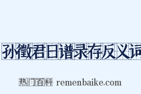 孙徵君日谱录存反义词是什么意思的图片